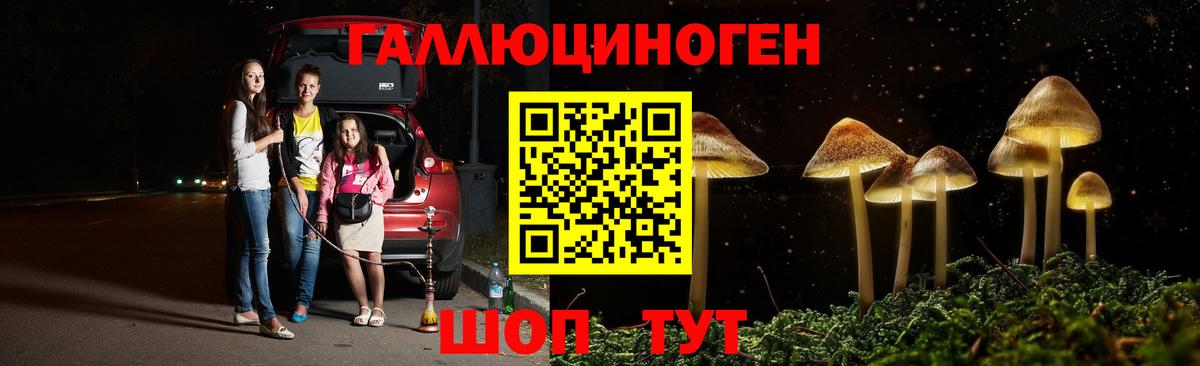 Галлюциногенные грибы мухоморы Аксай