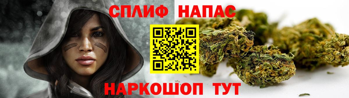 Конопля планчик Аксай